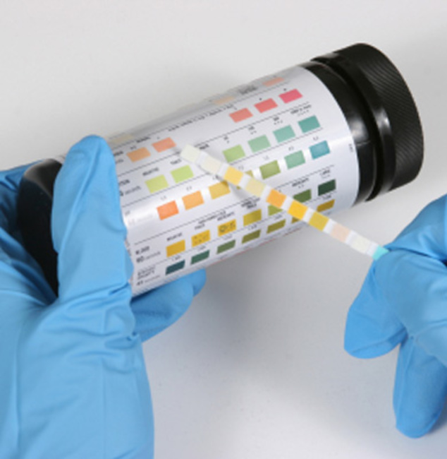 colour chart for urine sample in dogs