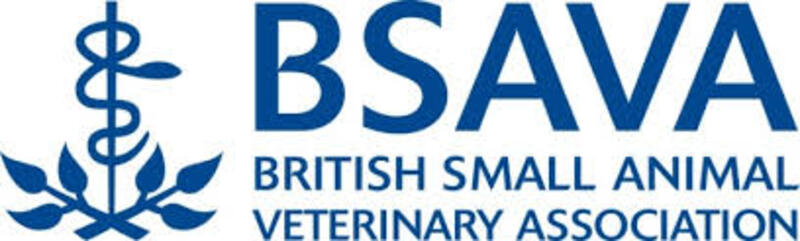 Bsava Logo