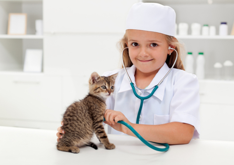 A child using a stethoscope on a cat 