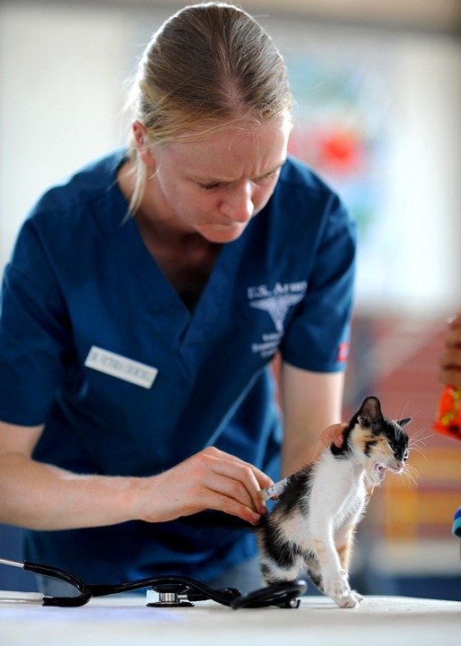 Vet