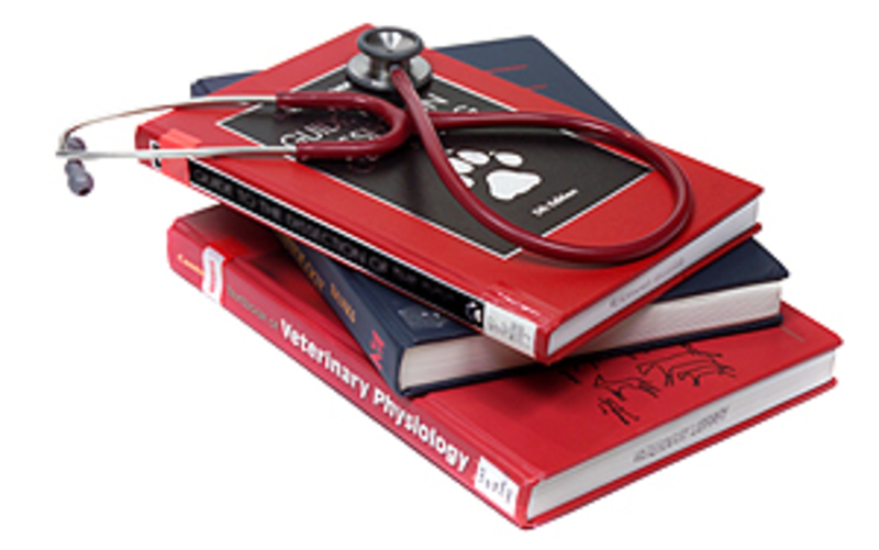 A pile of revision red and black books
