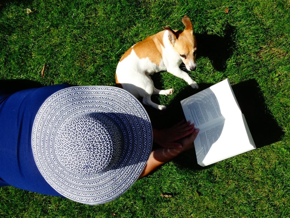 Dog Reading