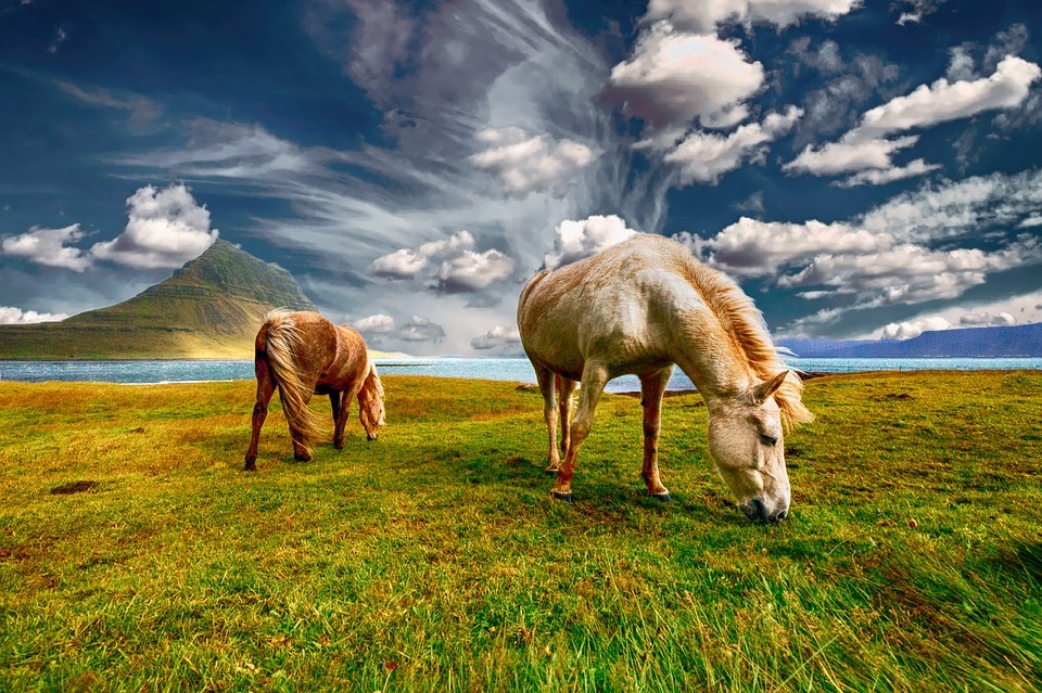 Countryside